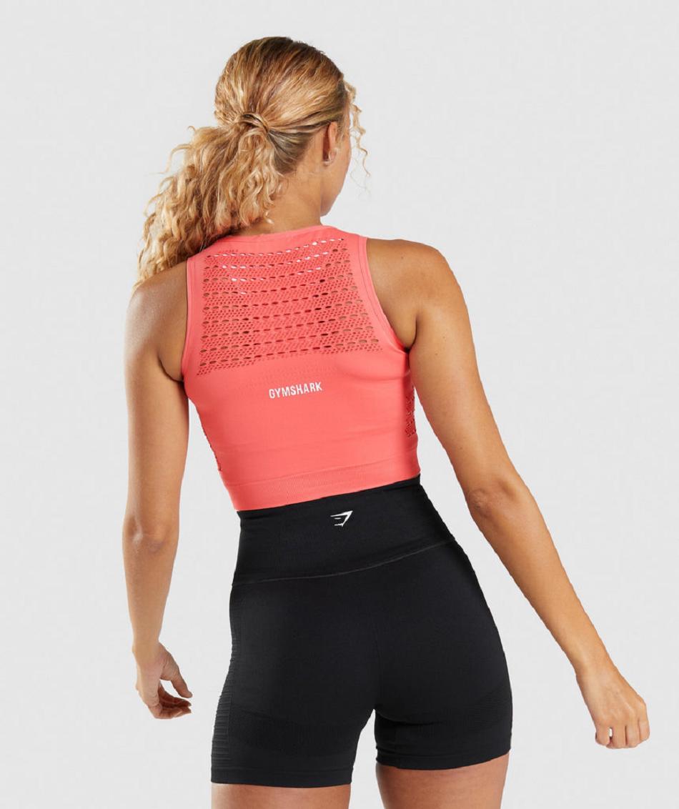 Gymshark Energy Seamless Ženske Ošišane Majice Roze | HR 3635HAP